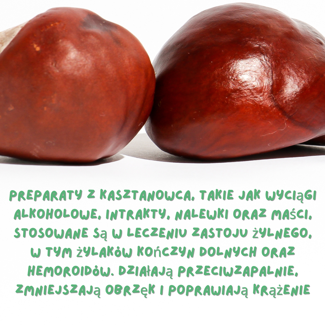 kasztan